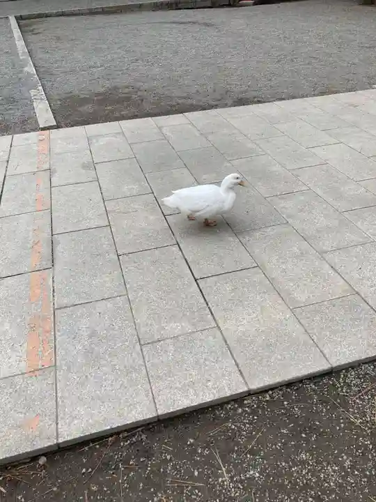平塚八幡宮(神奈川県)