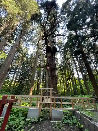 巖鬼山神社(青森県)