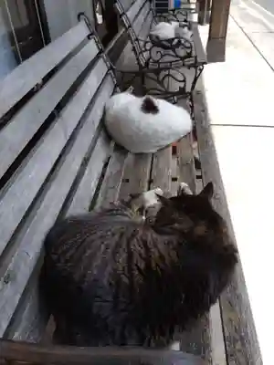 御誕生寺（猫寺）(福井県)