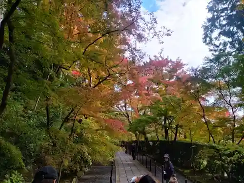 光明寺（粟生光明寺）(京都府)