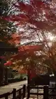 鳥取東照宮(旧樗谿神社)(鳥取県)