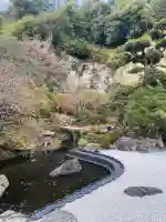 報国寺(神奈川県)