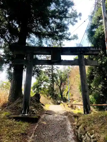 尺間神社の鳥居