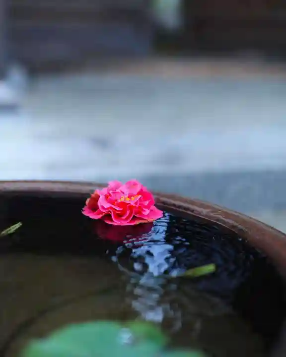 浄土寺(兵庫県)