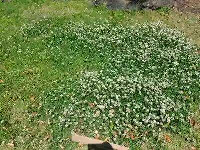 長岡寺(群馬県)