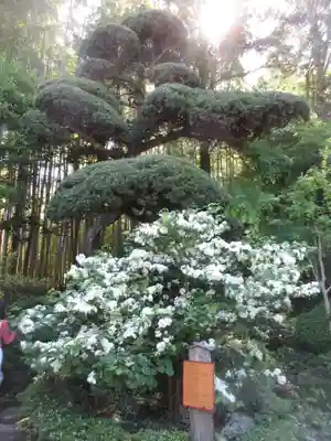 報国寺(神奈川県)