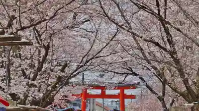 平野神社のその他建物