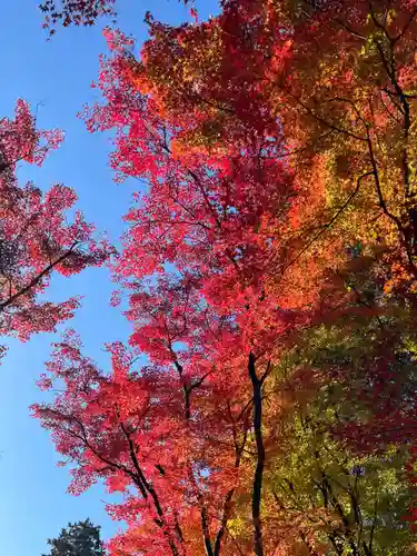 来迎院(京都府)