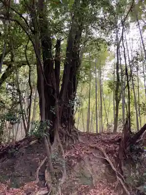 若都王子神社(兵庫県)