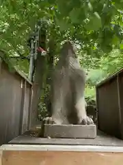 稲荷鬼王神社の狛犬