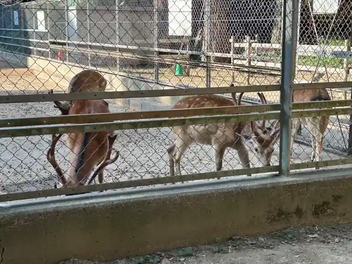 鹿島神宮(茨城県)