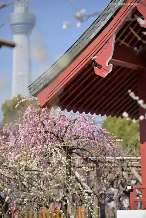 亀戸天神社のその他建物