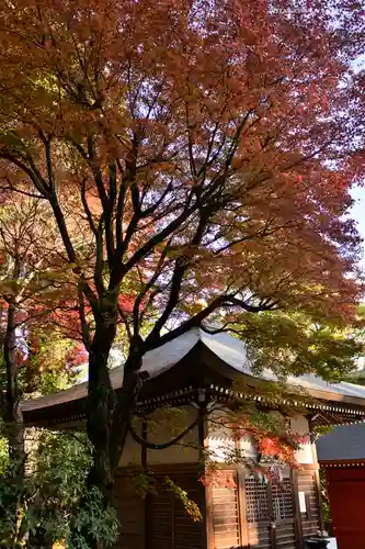 高尾山薬王院のその他建物