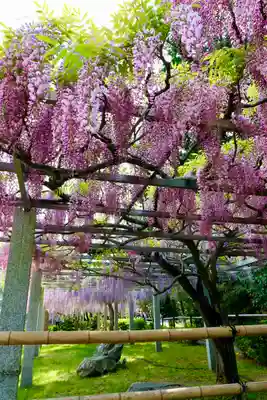 三大神社(滋賀県)