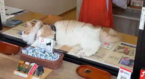 駒込妙義神社(東京都)