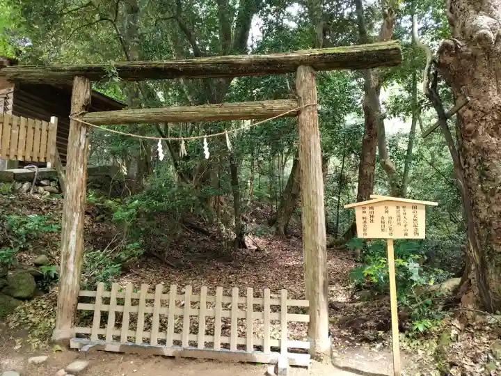 氣多大社の{uncategorized: "未分類", other: "その他", undefined: "問題あり", building: "その他建物", grave: "お墓", sacred_gate: "鳥居", guardian: "狛犬", statue: "像", buddha: "仏像", history: "歴史", nature: "自然", garden: "庭園", animal: "動物", pagoda: "塔", temizu: "手水舎", mountain_gate: "山門・神門", sanctuary: "本殿・本堂", subordinate: "末社・摂社", art: "芸術", scenery: "景色", jizo: "地蔵", ema: "絵馬", goshuin: "御朱印", omikuji: "おみくじ", items: "授与品その他", amulet: "お守り", goshuincho: "御朱印帳", eats: "食事", festival: "お祭り", votive_dance: "神楽", shichigosan: "七五三参", wedding: "結婚式", experience: "体験その他", initially: "初詣", around: "周辺", anti_infection: "感染症対策"}