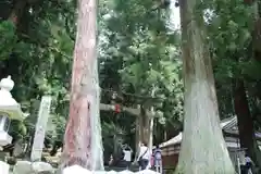 室生龍穴神社の自然