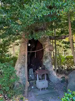 石見国一宮　物部神社(島根県)