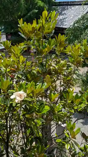 松ヶ崎大黒天 妙圓寺（妙円寺）(京都府)