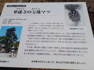 華蔵寺(岩手県)