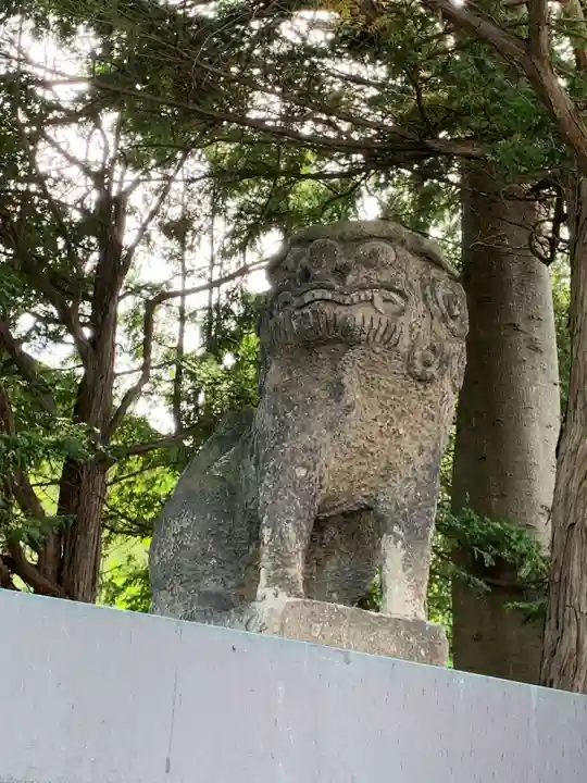 北見神社の狛犬