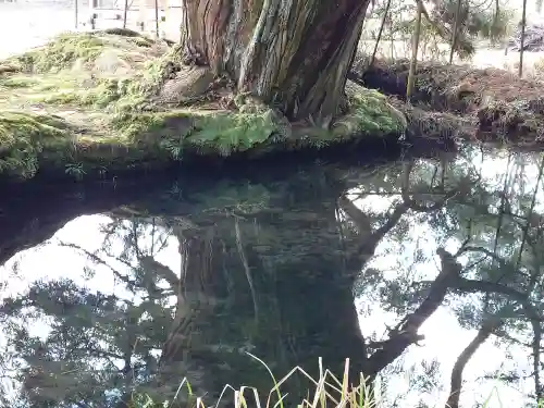 一本杉神社(島根県)
