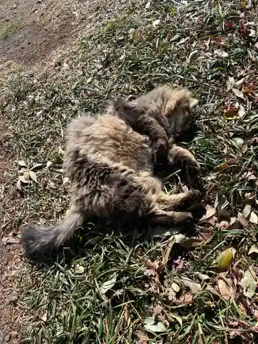 唐澤山神社(栃木県)