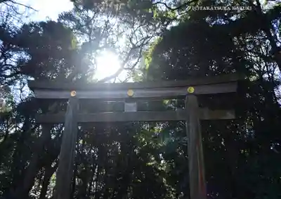 明治神宮(東京都)