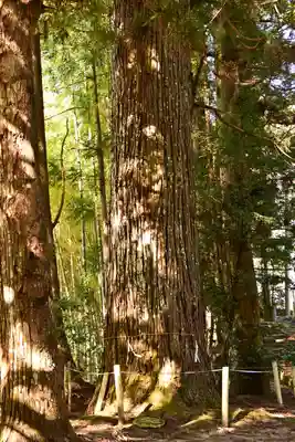 三社神社(愛媛県)