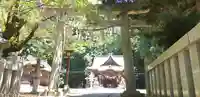 安房神社の鳥居
