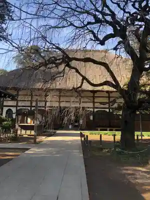 茂林寺の本殿・本堂