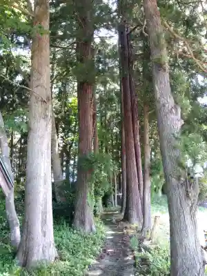白山神社の{uncategorized: "未分類", other: "その他", undefined: "問題あり", building: "その他建物", grave: "お墓", sacred_gate: "鳥居", guardian: "狛犬", statue: "像", buddha: "仏像", history: "歴史", nature: "自然", garden: "庭園", animal: "動物", pagoda: "塔", temizu: "手水舎", mountain_gate: "山門・神門", sanctuary: "本殿・本堂", subordinate: "末社・摂社", art: "芸術", scenery: "景色", jizo: "地蔵", ema: "絵馬", goshuin: "御朱印", omikuji: "おみくじ", items: "授与品その他", amulet: "お守り", goshuincho: "御朱印帳", eats: "食事", festival: "お祭り", votive_dance: "神楽", shichigosan: "七五三参", wedding: "結婚式", experience: "体験その他", initially: "初詣", around: "周辺", anti_infection: "感染症対策"}