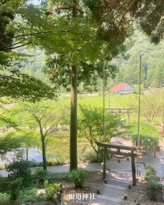 根道神社(岐阜県)