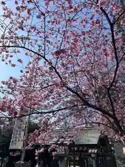 櫻木神社(千葉県)