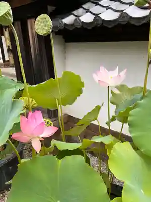 建長寺(神奈川県)