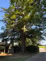 普門院(千葉県)