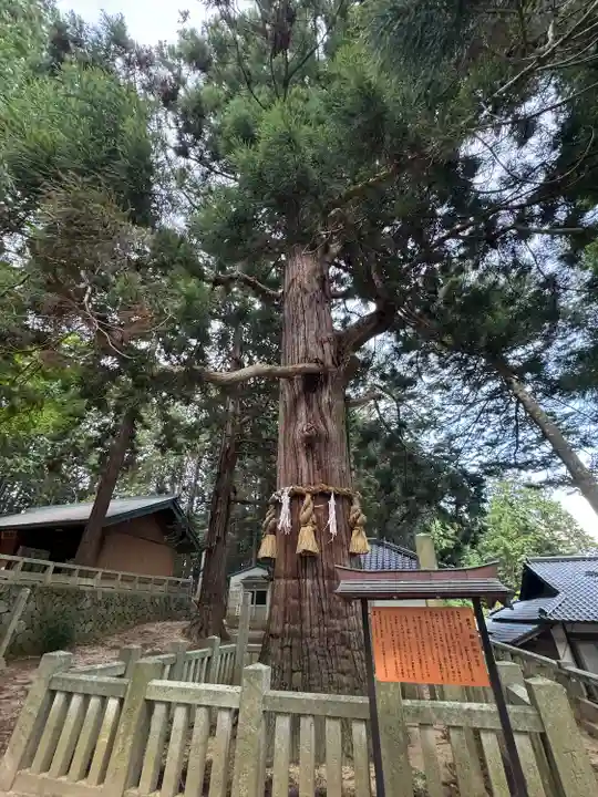 大御食神社(長野県)