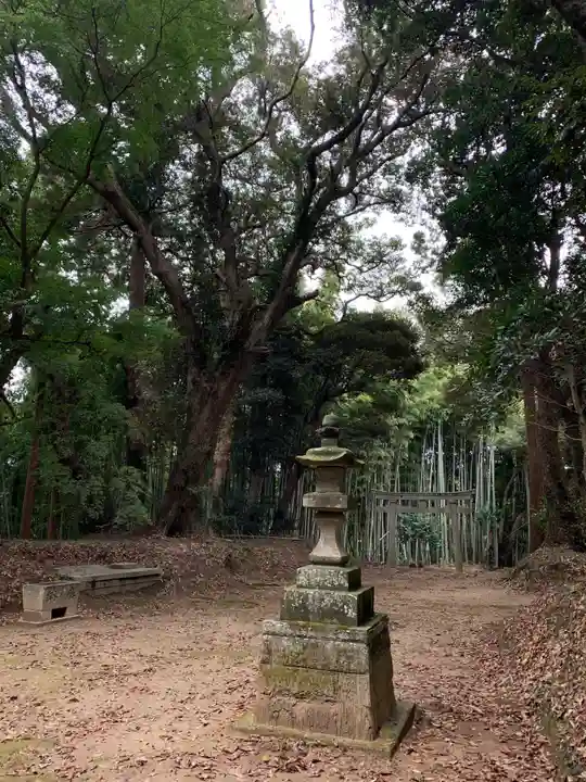 星宮神社(千葉県)