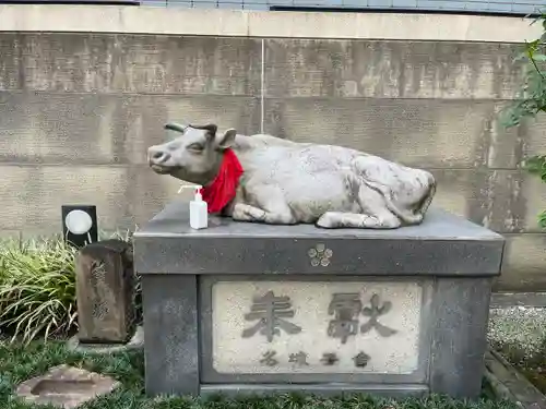 櫻天神社の狛犬