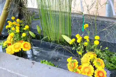 三津厳島神社の手水舎