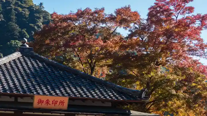 長谷寺(奈良県)