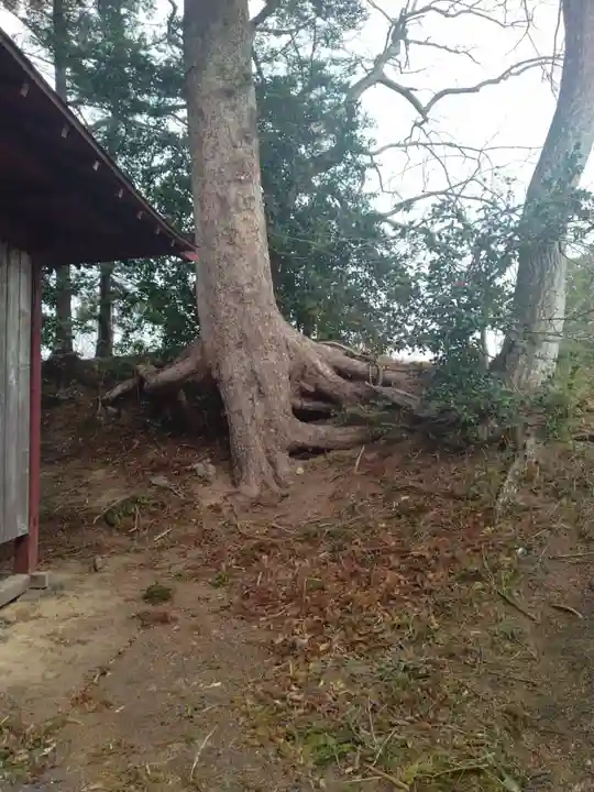 八幡神社(平沢)(宮城県)