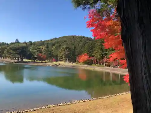 毛越寺の景色