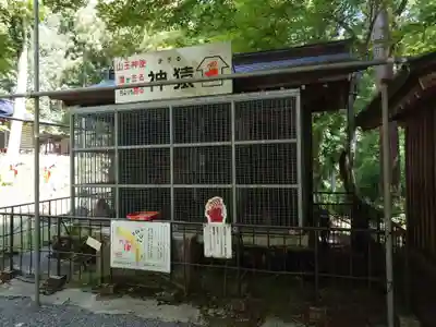 日吉大社(滋賀県)