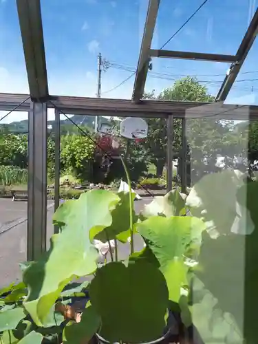 極楽山　浄土寺の自然