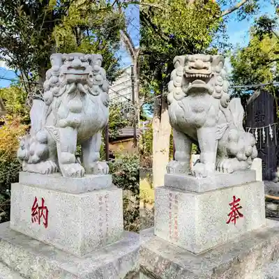 菊田神社の狛犬