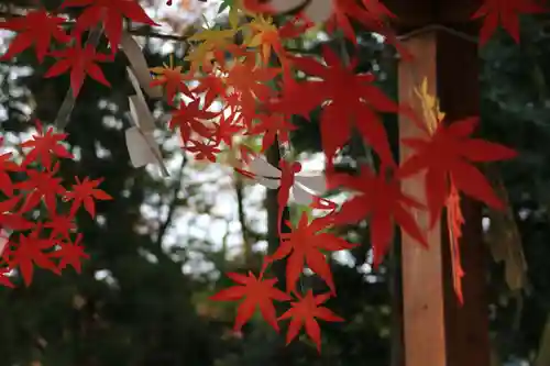 阿久津「田村神社」（郡山市阿久津町）旧社名：伊豆箱根三嶋三社の手水