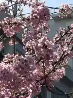 総持寺の{uncategorized: "未分類", other: "その他", undefined: "問題あり", building: "その他建物", grave: "お墓", sacred_gate: "鳥居", guardian: "狛犬", statue: "像", buddha: "仏像", history: "歴史", nature: "自然", garden: "庭園", animal: "動物", pagoda: "塔", temizu: "手水舎", mountain_gate: "山門・神門", sanctuary: "本殿・本堂", subordinate: "末社・摂社", art: "芸術", scenery: "景色", jizo: "地蔵", ema: "絵馬", goshuin: "御朱印", omikuji: "おみくじ", items: "授与品その他", amulet: "お守り", goshuincho: "御朱印帳", eats: "食事", festival: "お祭り", votive_dance: "神楽", shichigosan: "七五三参", wedding: "結婚式", experience: "体験その他", initially: "初詣", around: "周辺", anti_infection: "感染症対策"}