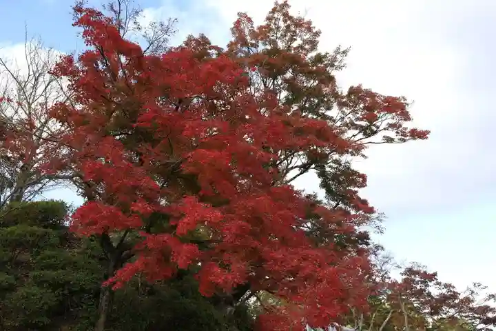 善峯寺(京都府)