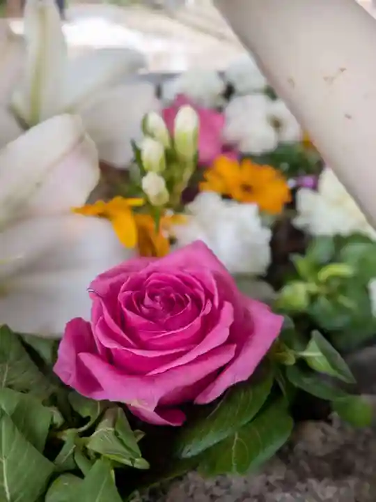 鳩森八幡神社の手水舎